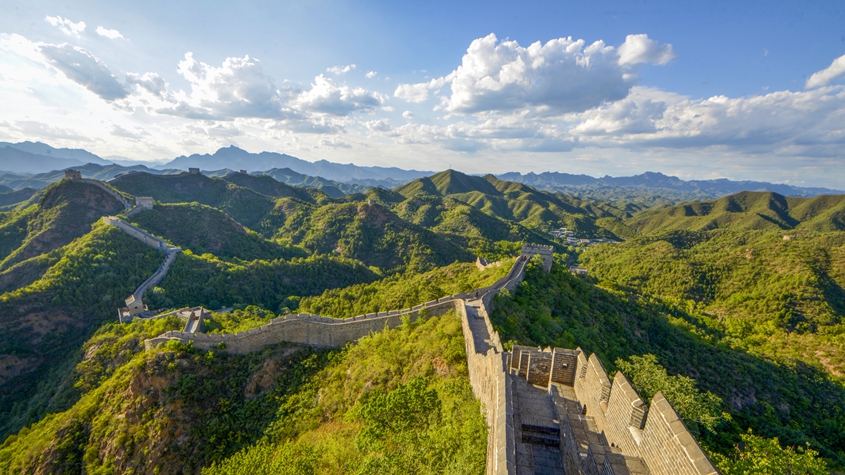 中国有序推进夏粮管理新闻:夏粮管理是秋粮高产的关键